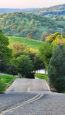 Old Home Path